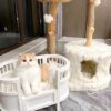 Whisker's Dreamland Bed