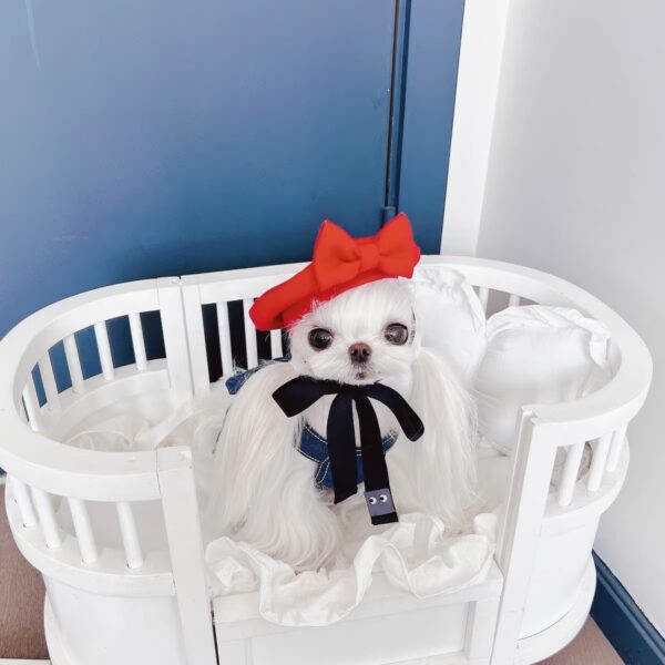 Whisker's Dreamland Bed