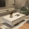 SvelteLine Storage Coffee Table