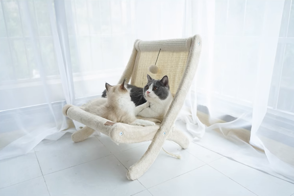 Sunny Siesta Cat Hammock