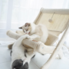 Sunny Siesta Cat Hammock
