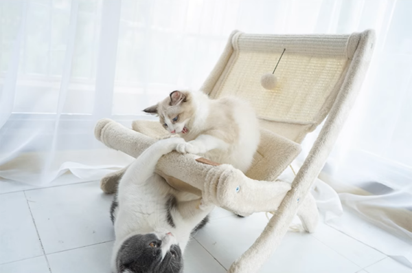 Sunny Siesta Cat Hammock
