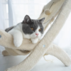 Sunny Siesta Cat Hammock