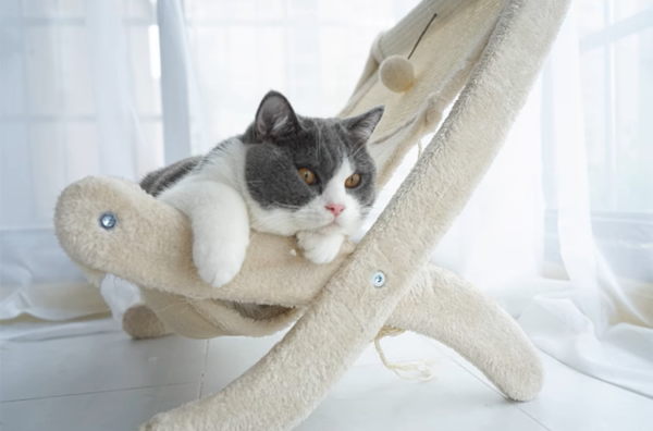 Sunny Siesta Cat Hammock