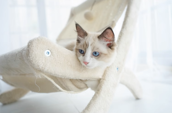 Sunny Siesta Cat Hammock
