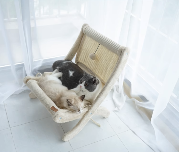 Sunny Siesta Cat Hammock