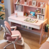 Junior Scholar Study Desk Set