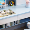 Junior Scholar Study Desk Set