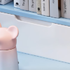 Junior Scholar Study Desk Set