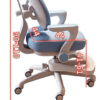 Junior Scholar Study Desk Set
