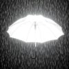 Umbrella In Darkness