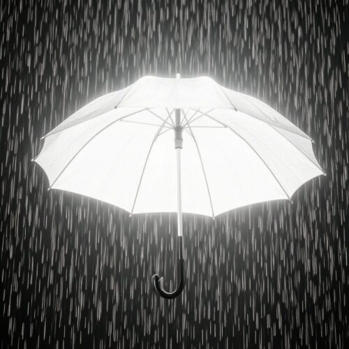 Umbrella In Darkness