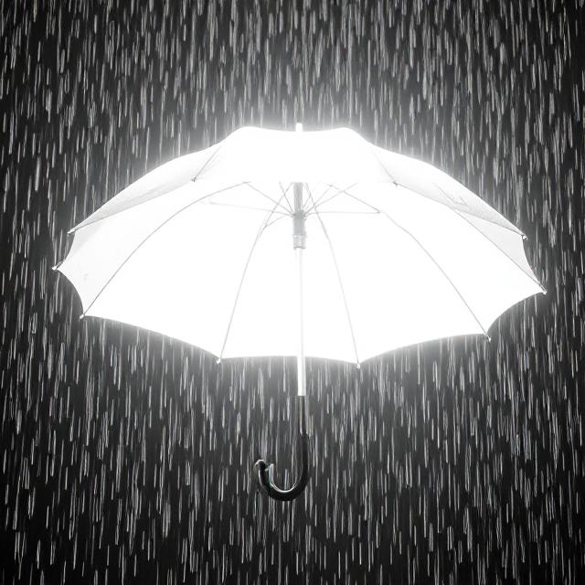 Umbrella In Darkness