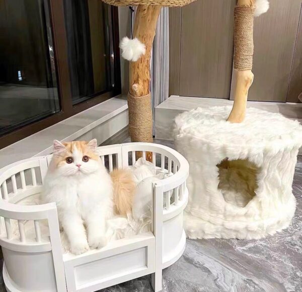 Whisker's Dreamland Bed