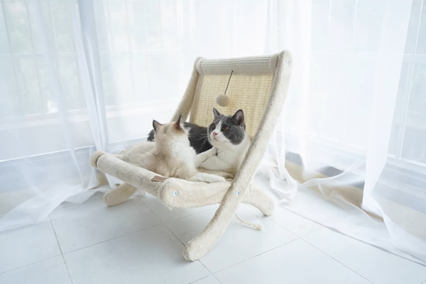 Sunny Siesta Cat Hammock - Image 10