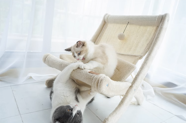 Sunny Siesta Cat Hammock - Image 3