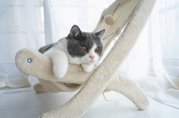 Sunny Siesta Cat Hammock - Image 8