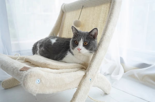 Sunny Siesta Cat Hammock - Image 7