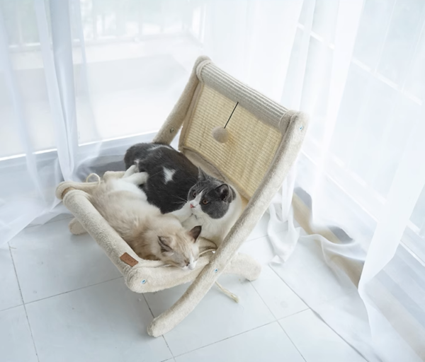 Sunny Siesta Cat Hammock - Image 9