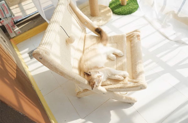 Sunny Siesta Cat Hammock